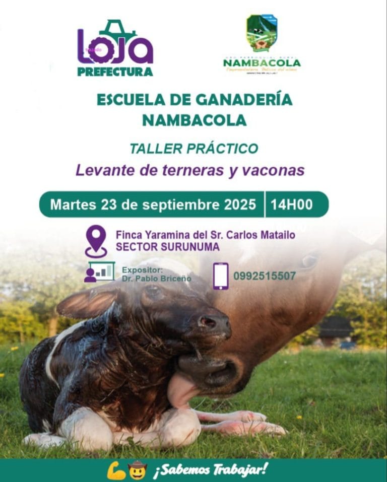 Proyecto «Escuela de Ganadería Nambacola»